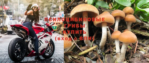 эйфоретик Алексеевка