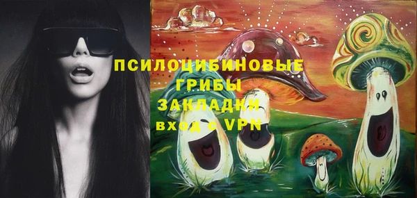 эйфоретик Алексеевка