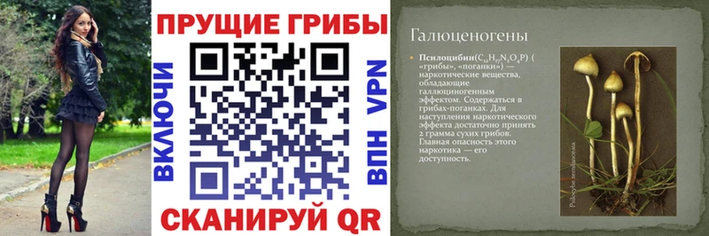 Галлюциногенные грибы прущие грибы KRAKEN сайт Амурск