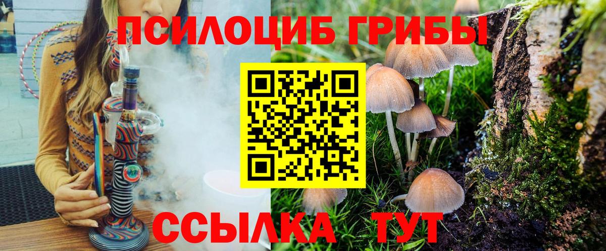 Псилоцибиновые грибы MAGIC MUSHROOMS  Вход с VPN  Псилоцибиновые грибы ЛСД  закладки  Амурск 